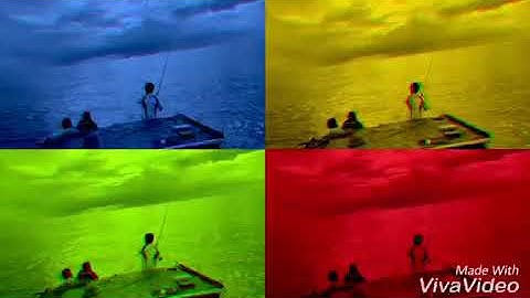 câu cá vược tại hòn dáu hải phòng