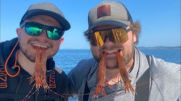 Puget Sound Shrimp Opener 2023