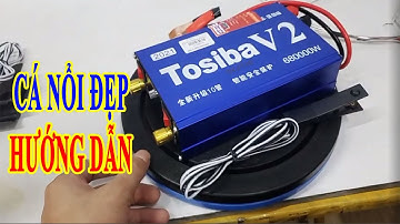 Kích cá giá rẻ | Toshiba v2 cá nổi đẹp lung linh _ hướng dẫn điều chỉnh