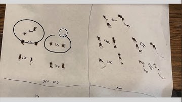 Ranch Fairy Kit - Part 2: Finding Your Hand load