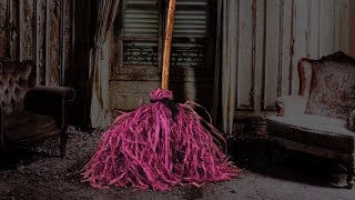 Halloween Haunters | Animated Screaming Witch Broom