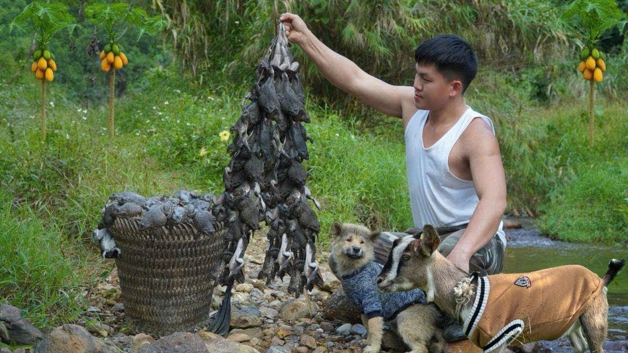 Генеральный директор уезжает из города, ловит диких лягушек и продаёт их на рынке. Свободная жизнь,