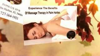 Massage Therapist Palm Harbor,FL 2 | 727-364-1921