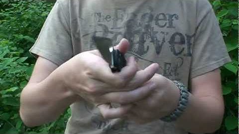 Para 2 v.s. Griptilian