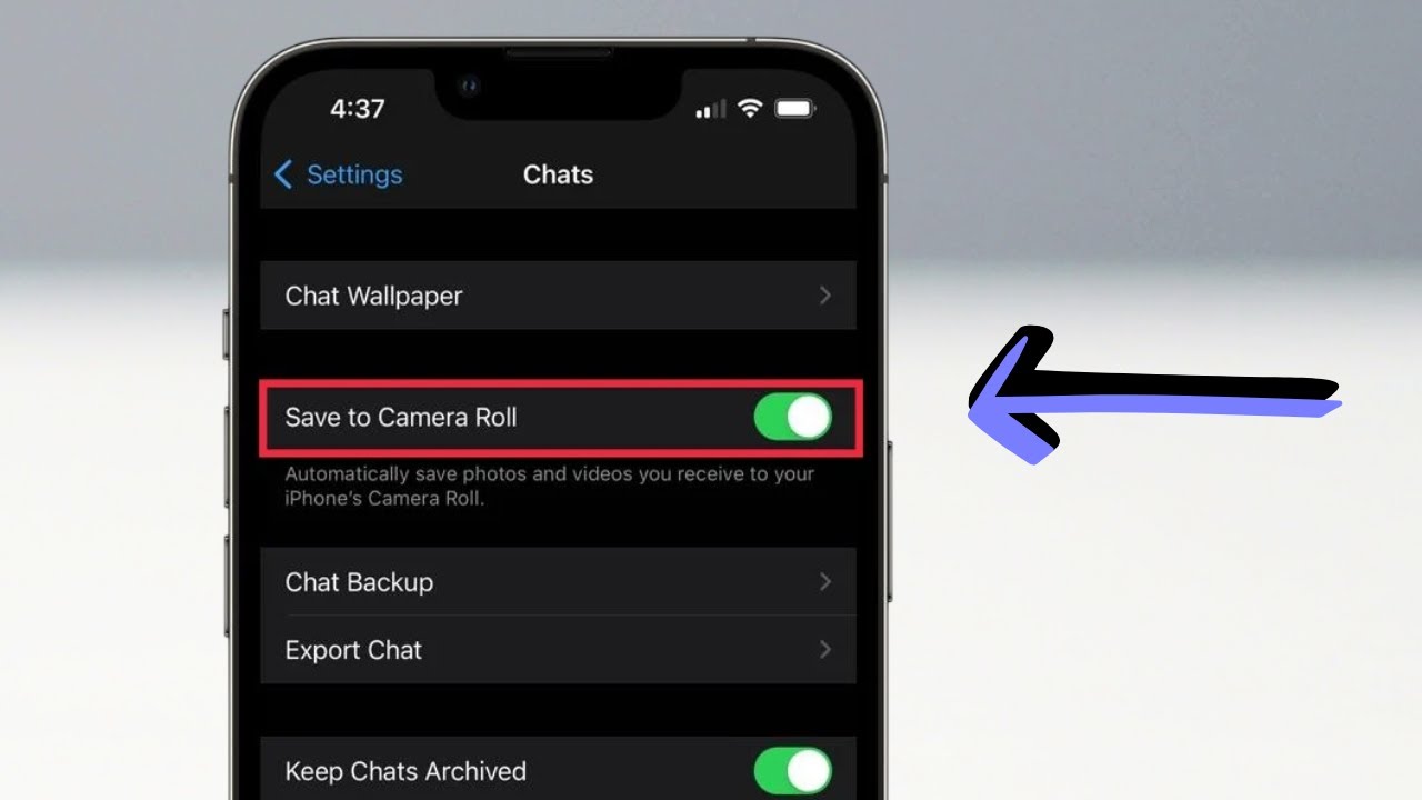 Исправлена ​​ошибка, из-за которой фотографии и видео из WhatsApp не отображались в галерее iPhone.
