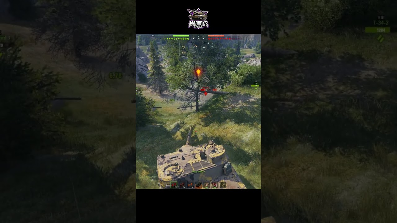 Tortoise Always Close 