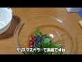 庭に生えてた実で漢方薬作ってみた