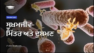 PB | Class8 | Science | Chapter 2 | Sukhmjeev Mitr Ate Dushmn_01 (PSEB)