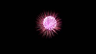 6 Double Petal Shell - Pink with willow diadem