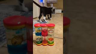 Mozart's Toy Museum: Day 40 - Triple Ooze Sports Liquid Timer
