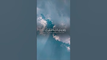 ماتيسر من سورة البقرة للقارئ الشيخ مشاري بن راشد العفاسي♥️🌿