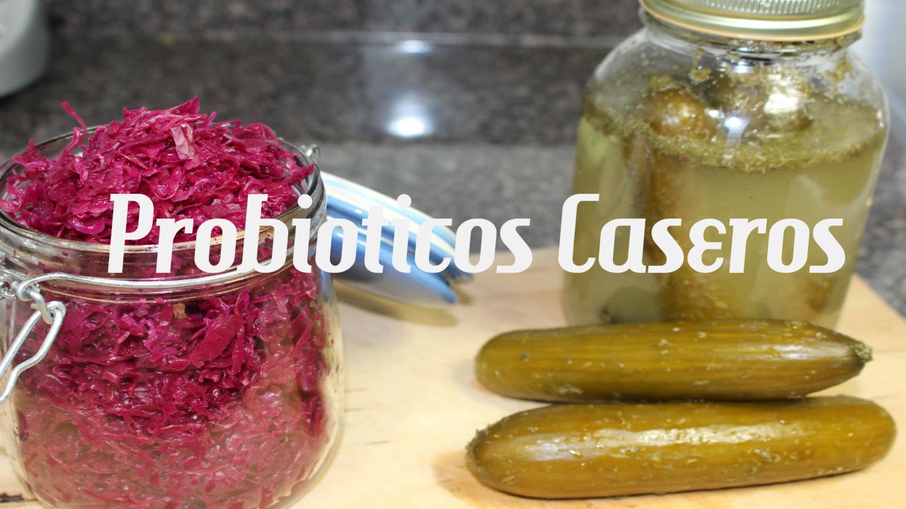 Los mejores probioticos caseros