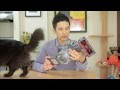 ダイソンコードレス掃除機DC62の性能検証＆レビュー Dyson DC62 (Japanese Model) Cordless Vacuum review