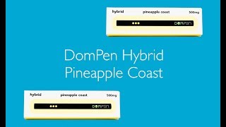 Dompen Hybrid Pineapple Coast