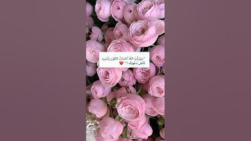 فدعا ربه أني مغلوب فانتصر # القرآن الكريم # جوهرة القرآن