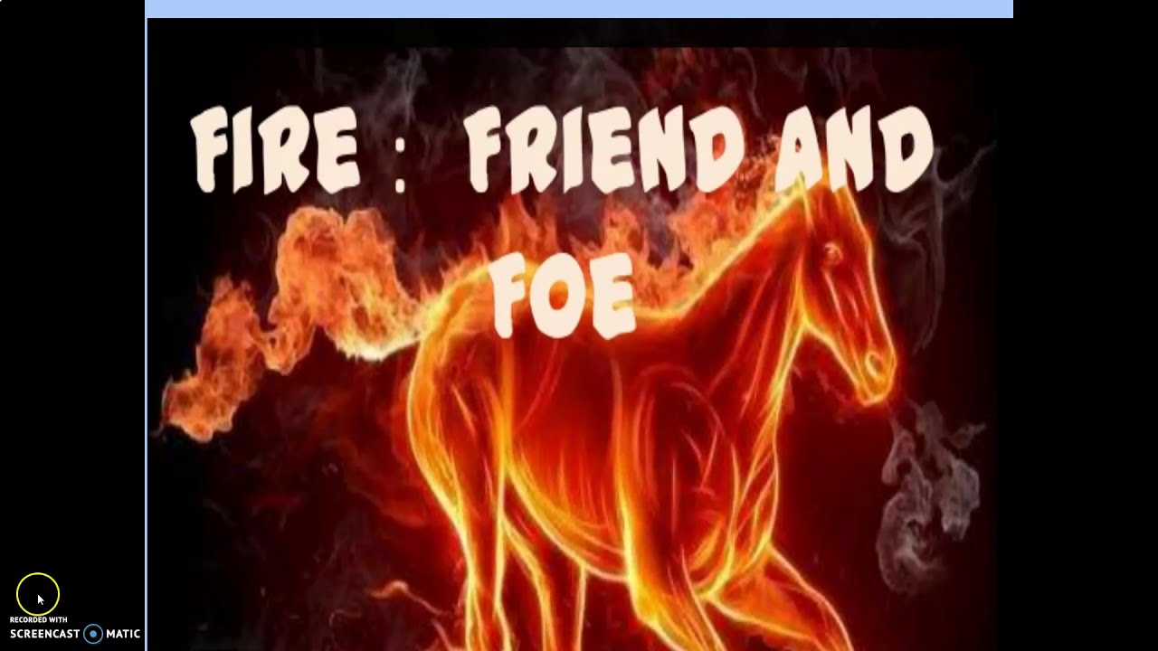 CBSE GRADE 7 CH 8 FIRE - FRIEND AND FOE SOLUTION | SHAN MATH