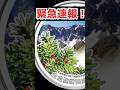 【緊急速報】限定4万枚!超激レア記念銀貨が入手可!?【マジ急げ】