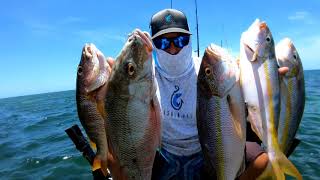 Pescando en Puerto Rico ( colirubias grandotas )