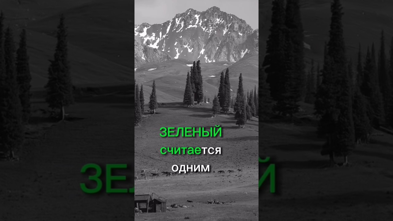 С какими цветами лучше сочетать зелёный 