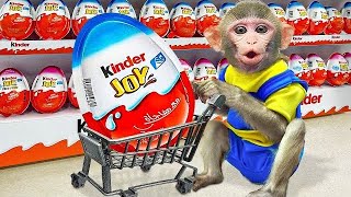 Zippy Monkey Go Shopping For Kinder Job In Store And Eat Chocolate With Puppy