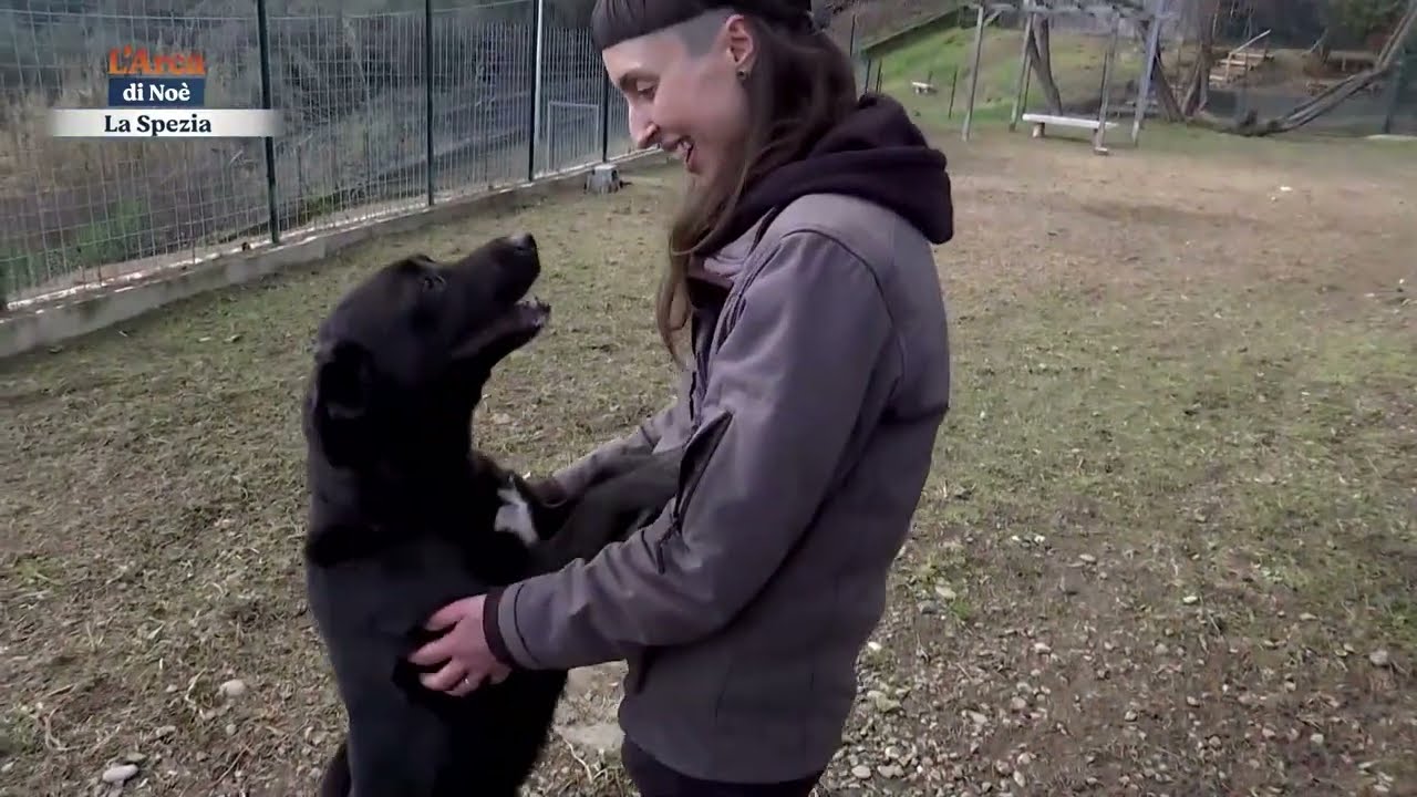 Un modello da adottare. Il Canile Municipale della Spezia nella puntata de  L' Arca di Noè.