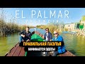 Дикарями в Валенсии с Ярославом Левашовым #4 / El Palmar - правильная паэлья начинается здесь!