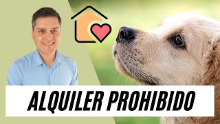 TENER PERROS EN VIVIENDAS DE ALQUILER Prohibido Te pueden echar ES LEGAL