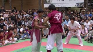 택견배틀 2009 TKB 8강 4배틀 경북성주 VS 고려대