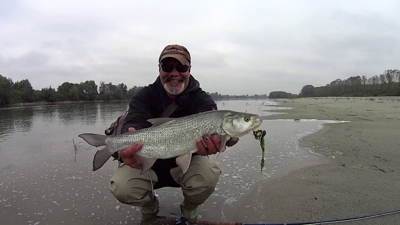 Fly Fishing - AUTUNNO 2016 - Due mani & due ruote.