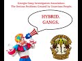 Georgia Gang Investigator Association: The Serious Problems Created by Unserious People.