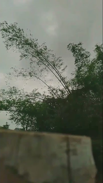 langit turunkan hujan dengan uang