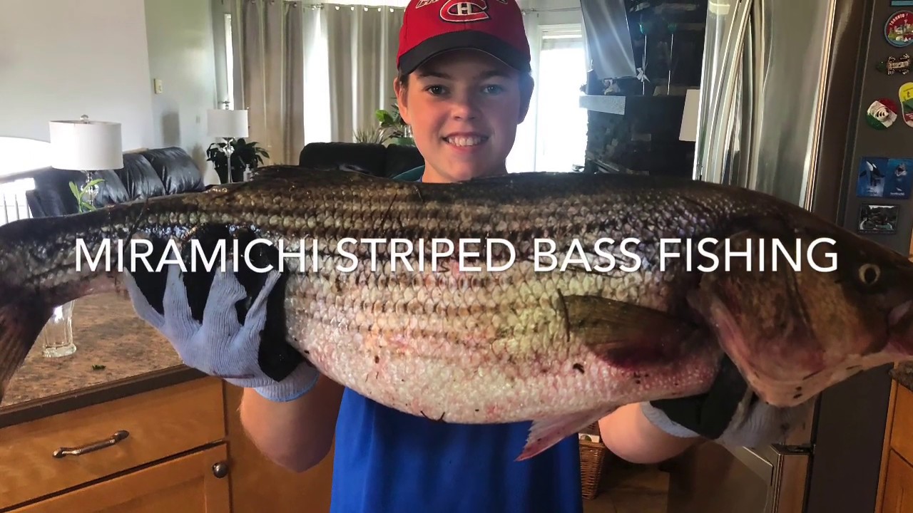 Bank Fishing For Bass in New Brunswick