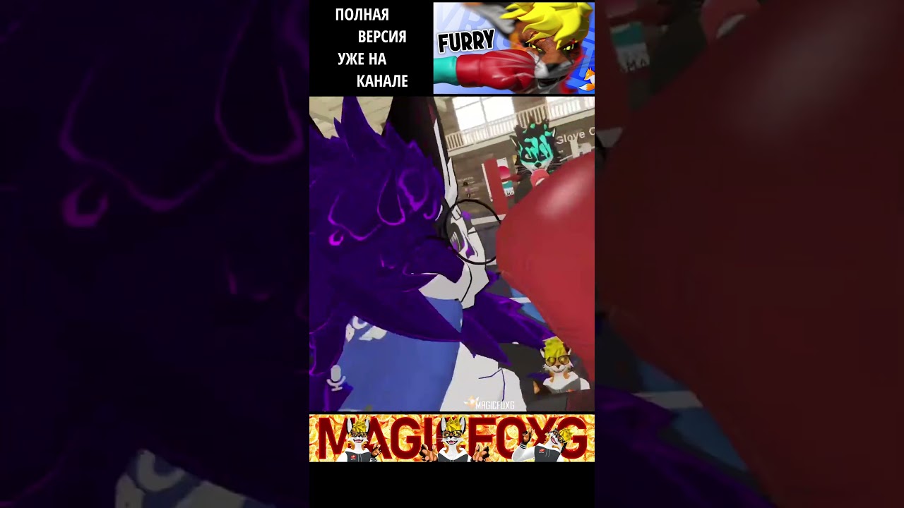 Тут хорошо видно, как мутузят друг друга 🦊 Пушистый бокс 