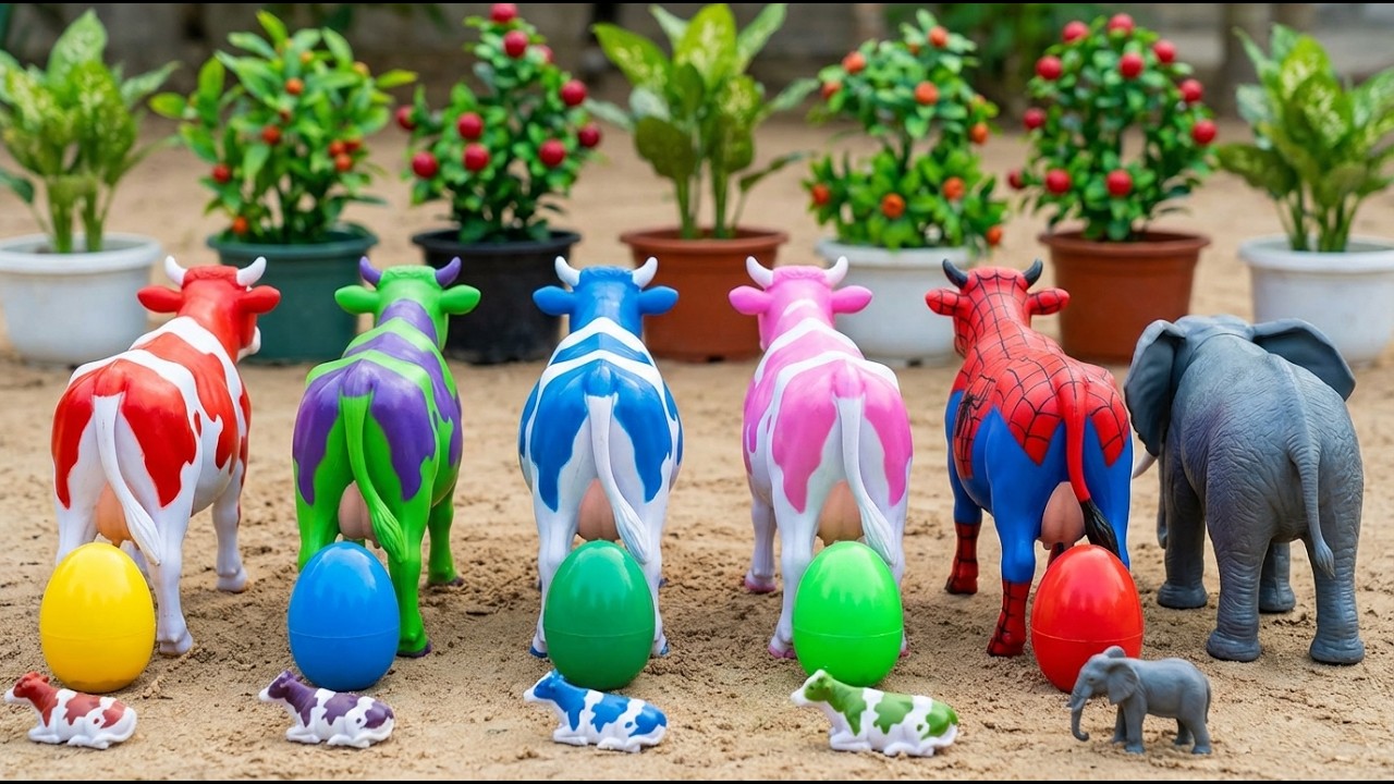 Wadidau‼️Amazing!! Proses Potong Sapi Kurban & Kerbau Lucu - Truk Oleng Angkut Sapi Kotor #2