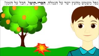 אוצר מילים באנגלית OD - פירות