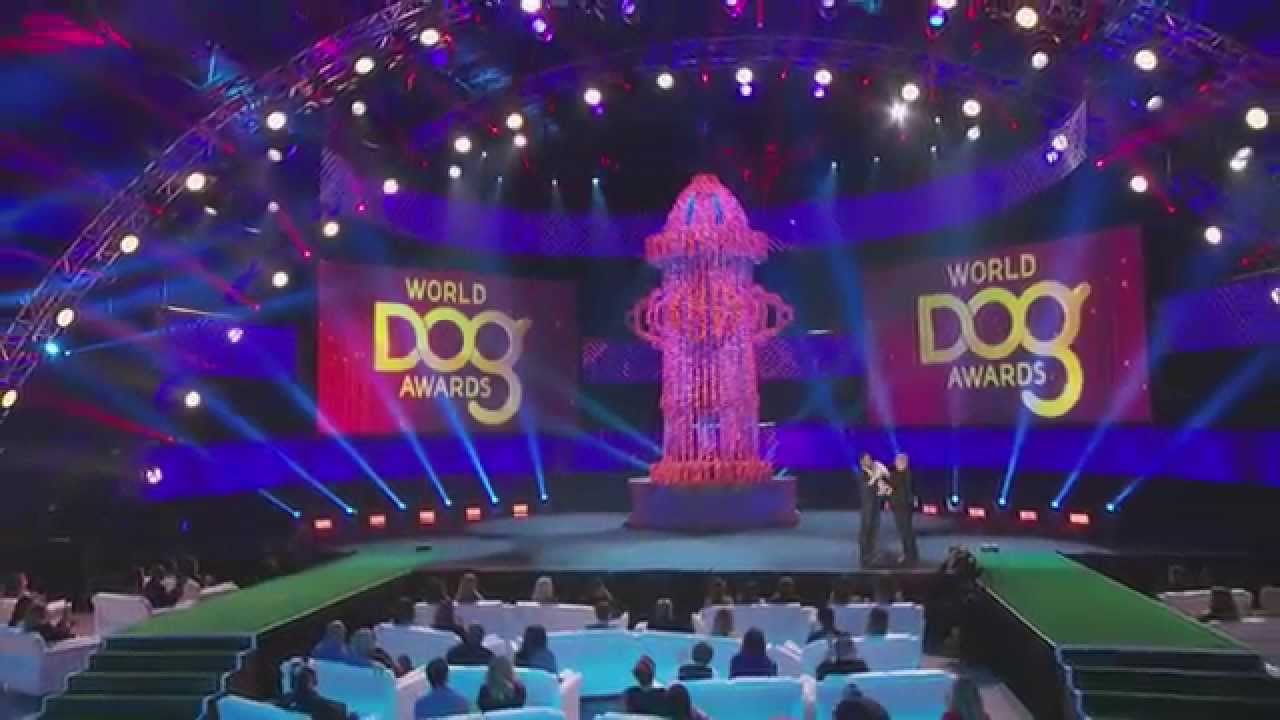 Justin Silver at the 2015 World Dog Awards
