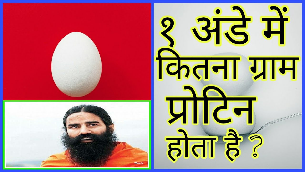 1 Ande me Kitna Protein Hota Hai/ 1 Din me Kitne ande khane chahiye/ १ अंडे में कितना प्रोटिन