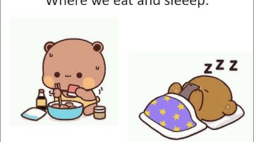 Academy Stars 2 unit 4 My favourite street song