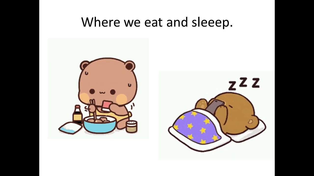 Academy Stars 2 unit 4 My favourite street song