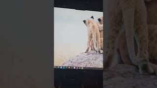 новое программное обеспечение tyt screenshot 1