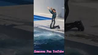 ルーナと一心同体!! #Shorts #鴨川シーワールド #シャチ #kamogawaseaworld #orca #killerwhale