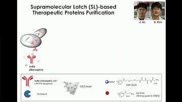 WEP2020 Supramolecular Latches: New Chemical Tools for Biology and Medicine