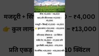 चना खेती बिज़नेस आइडिया | Chana Farming Business #shorts