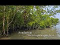 The Sundarbans World's Largest Mangrove Forest (Random Shoot)