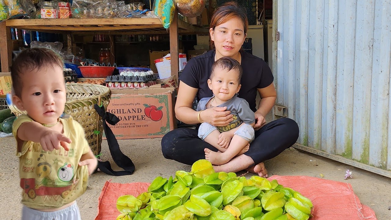 Single mother- harvests star fruit to sell at the market, takes care of ...