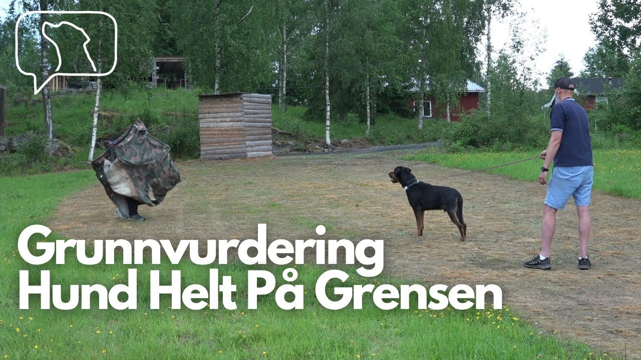 Grunnvurdering