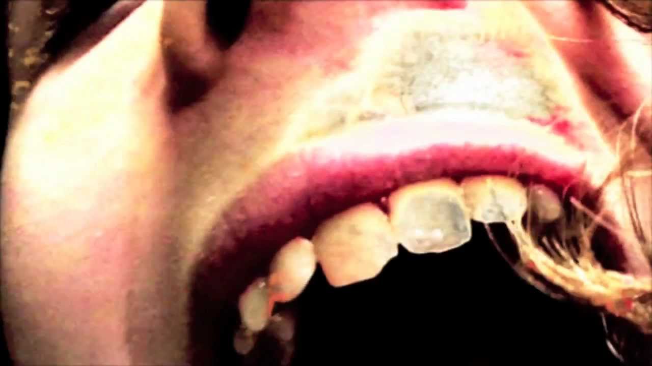 BT Vince The Loveable Stoner Music Video (RT)