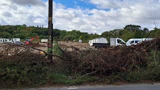 Work continues at illegal traveller site on green belt land - despite council issuing notice | SWNS