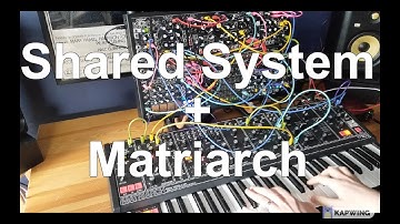 Make Noise Shared System & Moog Matriarch - Chill Live Modular Jam