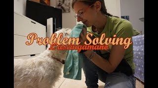 Problem Solving 🐶 L'asciugamano by MilkyWayYT 367 views 4 years ago 3 minutes, 40 seconds